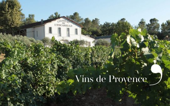 Les meilleurs rosés de Provence